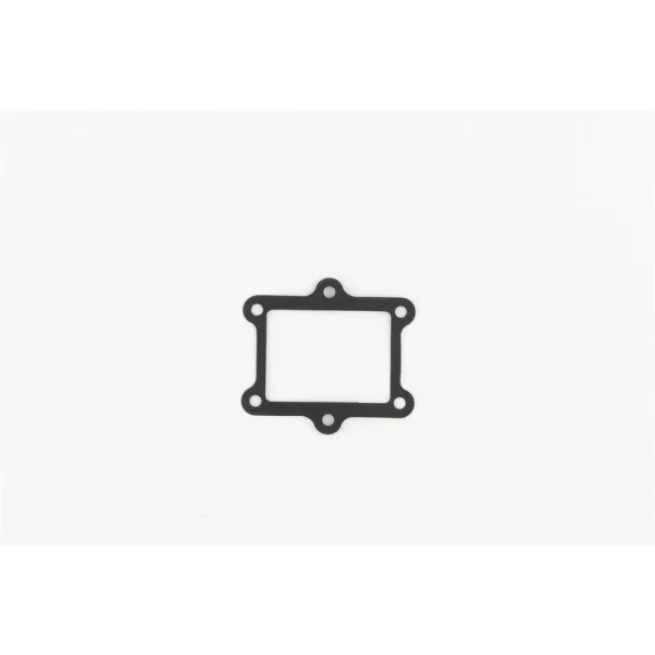 Cometic Aluminum Fiber (AFM) Intake Gasket – IR123032AFM