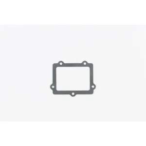 Cometic Fiber Intake Gasket – IR176020F