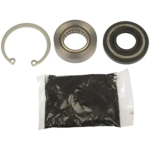 Dorman OE Solutions Rack Input Shaft Bearing And Seal – 905-515