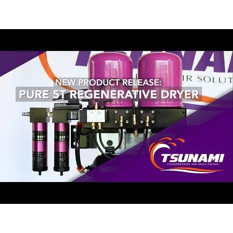 Tsunami Pure 5T 17 CFM 5 HP Regenerative Dryer and Tank 21999-1105-T