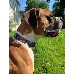 MATCO HEX DOG COLLAR TAG - view 2