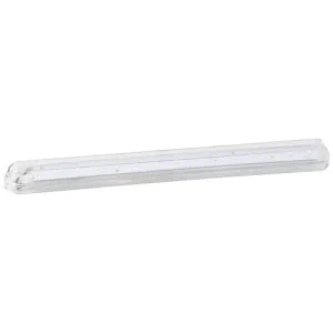 Grote Dome Light – 60581
