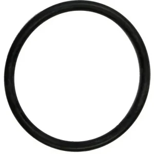 Motor Guard O-Ring – AS4024
