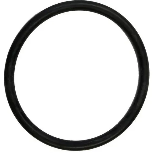 Motor Guard O-Ring – AS4024