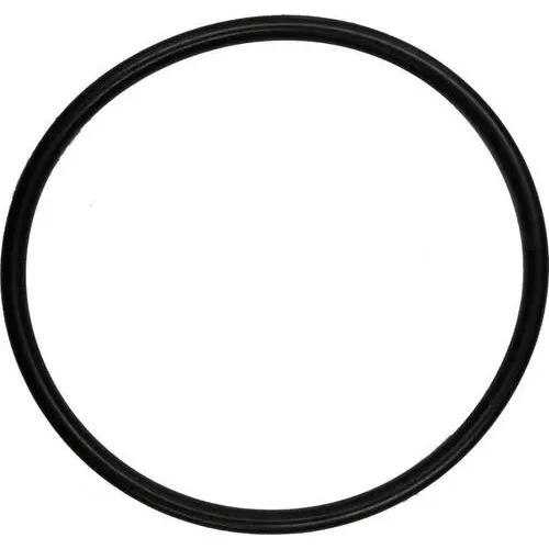 Motor Guard O-Ring – AS4025