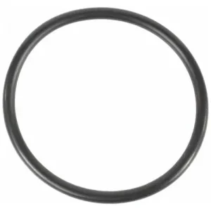 Motorcraft Coolant Thermostat Gasket – RTS1069
