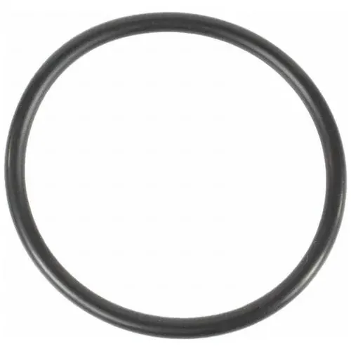 Motorcraft Coolant Thermostat Gasket – RTS1069