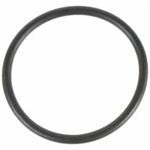 Motorcraft Coolant Thermostat Gasket – RTS1077
