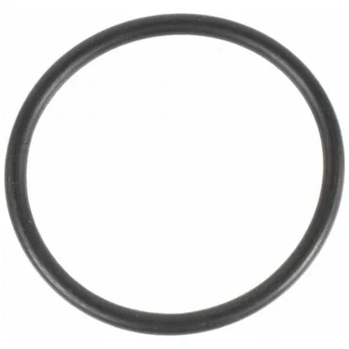 Motorcraft Coolant Thermostat Gasket – RTS1077