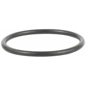Motorcraft Coolant Thermostat Gasket – RTS1077 - view 2