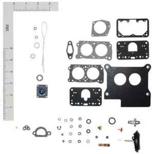 Walker Products Holley 2BBL, 2300G, 2300EG Carburetor Kit – 15815A