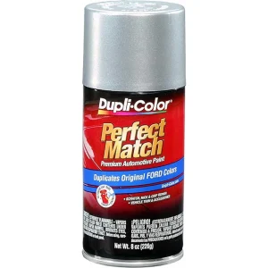 Dupli-Color Ford Silver Charcoal Metallic Automotive Paint (BFM0236)