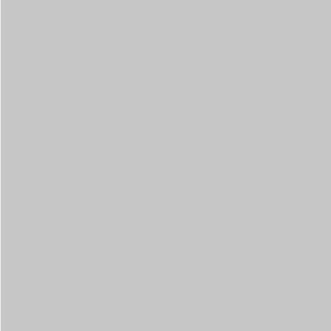 Dupli-Color Ford Silver Charcoal Metallic Automotive Paint (BFM0236) - view 2