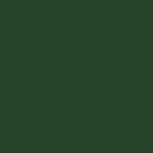 Dupli-Color 8 Oz Toyota Dark Green Mica Automotive Paint (BTY1603) - view 2
