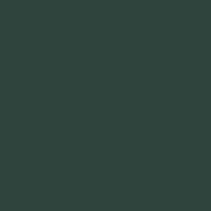 Dupli-Color 8 oz. GM Dark Green Automotive Paint (BGM0517) - view 2