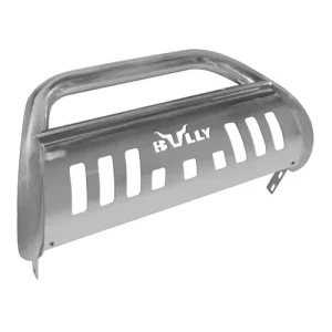 Bully Truck Polished Bull Bar – NR106 - view 3