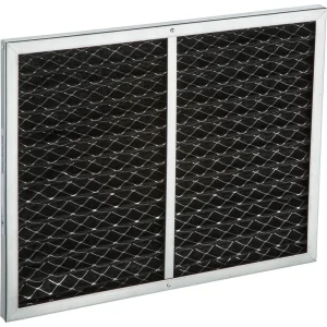 Grizzly Industrial Second Stage Active Carbon Filter for T28798 (T30031)
