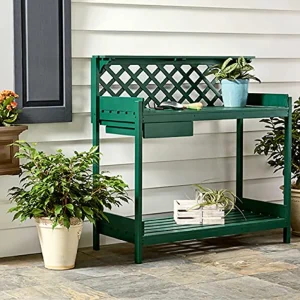 Colormaxx K05563007 Spray Paint and Primer for Indoor/Outdoor Satin Hunter Green - view 3