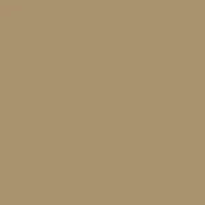 Dupli-Color Toyota Cashmere Beige Metallic Automotive Paint (BTY1596) - view 2