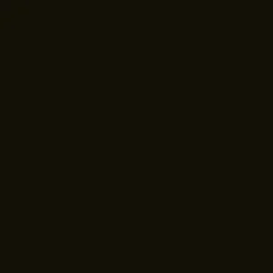 Dupli-Color Gloss Black Rust Preventative Coating (RBG101) - view 2