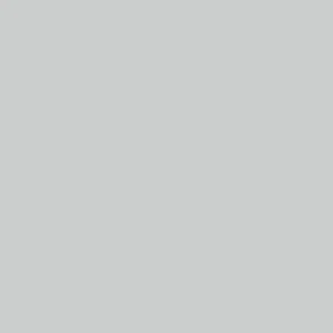 Dupli-Color 8 oz Toyota Classic Silver Mica Automotive Paint (BTY1617) - view 2