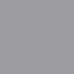 Dupli-Color Honda Alabaster Silver Metallic Automotive Paint (BHA0987) - view 2