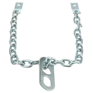 Performance Tool Engine Lift Chain – W41032 - view 2