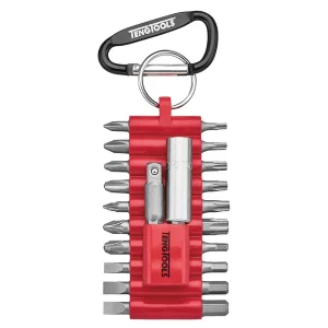 Teng Tools 22 Piece 1/4 Inch Hex Drive Clip Ring Assorted Bits and Accessories Set – THBS22