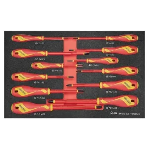 Teng Tools 12 Piece 1000 Volt Insulated Flat, Phillips (PH), Pozidriv (PZ) Screwdriver EVA Foam Tray – TEFMDV12