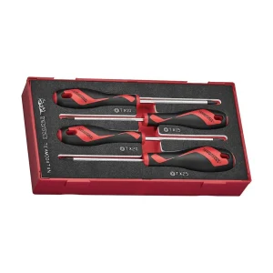 Teng Tools 4 Piece Mixed Size Torx (TX) Tip Head Screwdriver EVA Foam Set – TEAMD04TXN