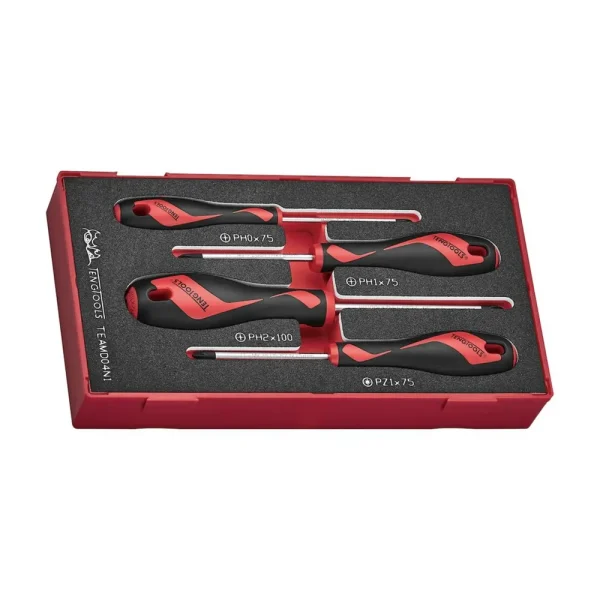 Teng Tools 4 Piece Mixed Size Phillips (PH), Pozidriv (PZ) Tip Head Screwdriver EVA Foam Set – TEAMD04N1