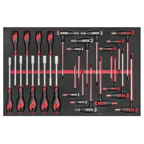 Teng Tools 23 Piece Metric Nut Driver and T Handle Hex and (TX/TPX) Wrench Key EVA Foam Set – TTEX23N