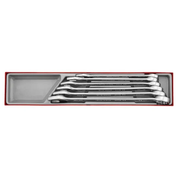Teng Tools 6 Piece 12 Point Metric Chrome Vanadium Steel Combination Wrench Set (24MM to 36MM) – TTX2436
