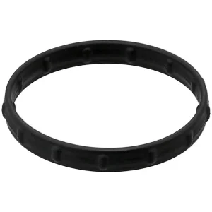 Elring Coolant Manifold O-Ring – 096.070