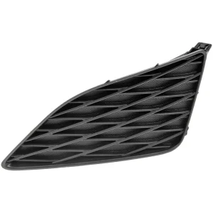 Dorman HELP! Black, Textured Finish Fog Light Cover – 45178