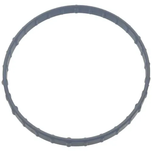 Standard Ignition Rubber Throttle Body Mounting Gasket – TBG105