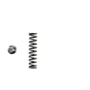 Pioneer Inc. Check Valve And Spring Kit – 768022