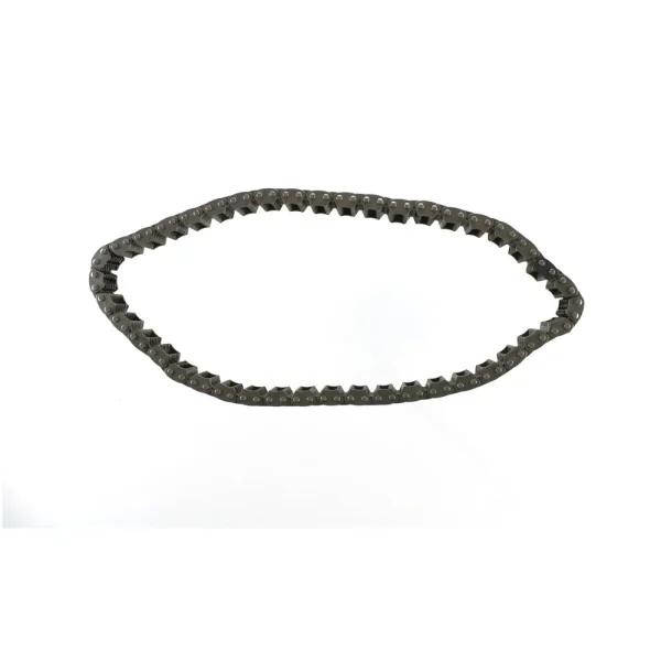 Pioneer Inc. Drive Chain – 769001