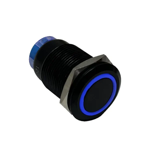Race Sport 12V 19mm Momentary Switch BLUE LED Black Flush Mount (1007589)