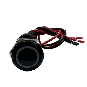 Race Sport 12V 19mm Momentary Switch BLUE LED Black Flush Mount (1007589) - view 2