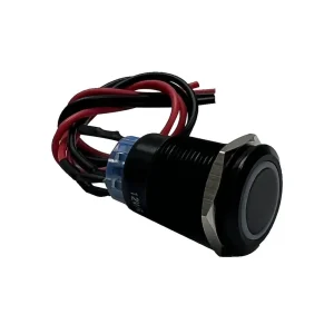 Race Sport 12V 19mm Momentary Switch BLUE LED Black Flush Mount (1007589) - view 3