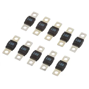 Littelfuse 100 Amp Fuse – MID100