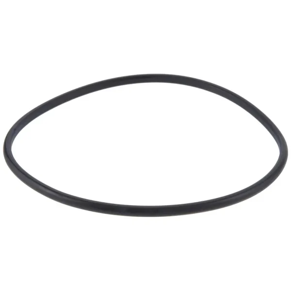 Precision Fuel Pumps Fuel Pump Tank Seal – Z11034