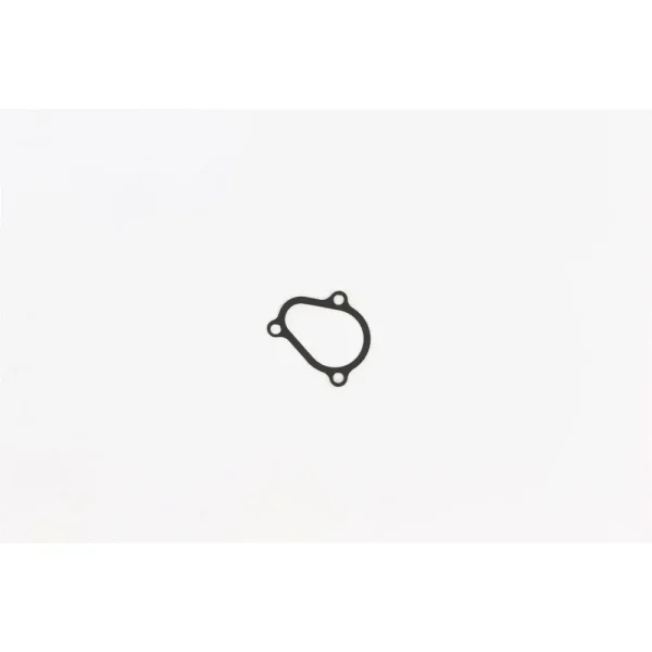 Cometic Gasket Power Valve Gasket – PV117018AFM