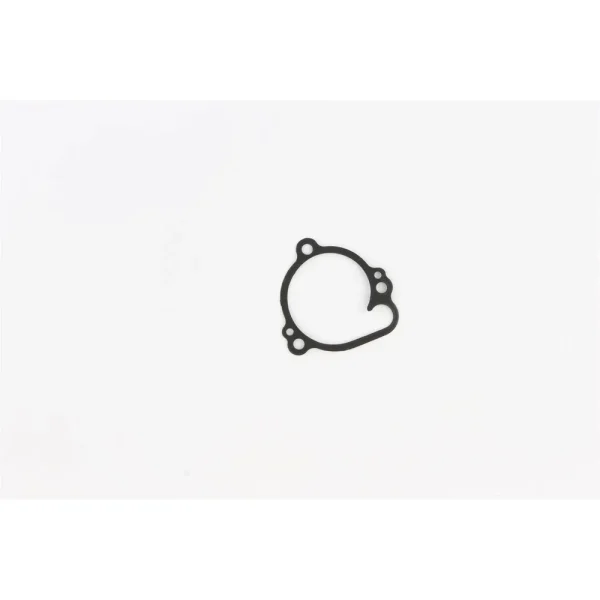 Cometic Water Pump Cover Gasket – WP036018AFM