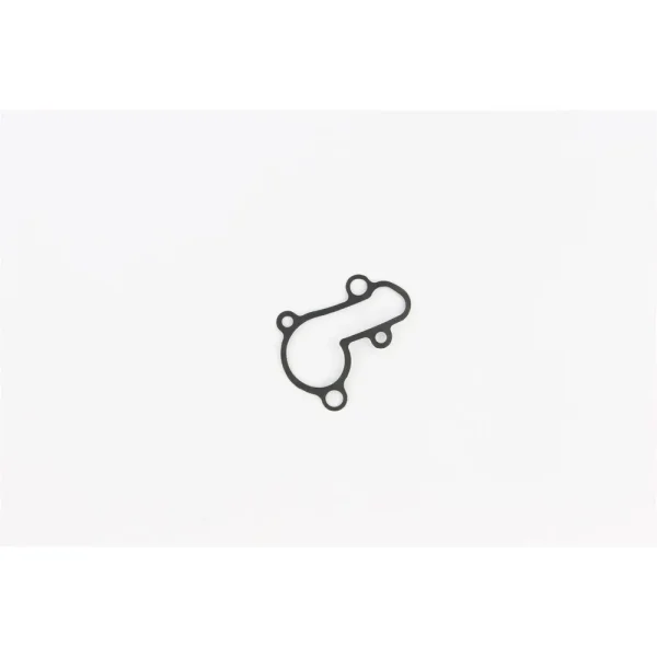 Cometic Water Pump Cover Gasket – WP040018AFM