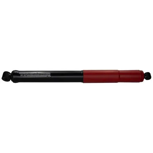 Motorcraft Shock Absorber – ASH866119