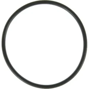 MAHLE Water Pump O-Ring – K32941