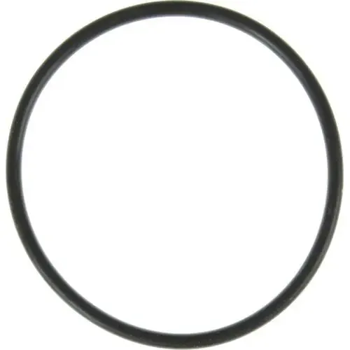 MAHLE Water Pump O-Ring – K32941