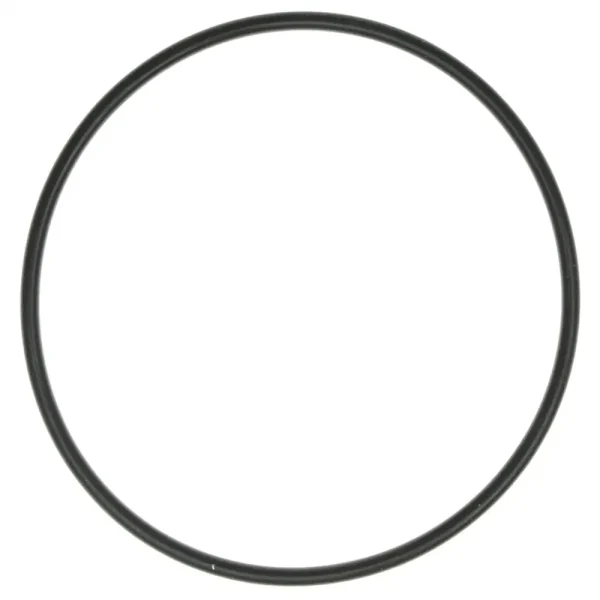 MAHLE Water Pump O-Ring – K32942